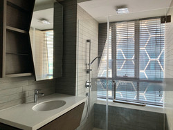V On Shenton (D1), Apartment #220318221